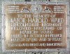 Harold Ward