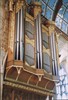Organ